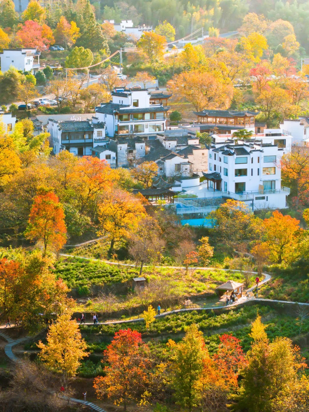 还想去第二次的赏秋圣地——塔川秋色❗️_4_无事有闲_安徽徽州-来自52tours 我爱旅游网